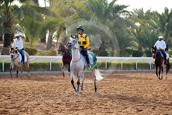 230222C952RIAD