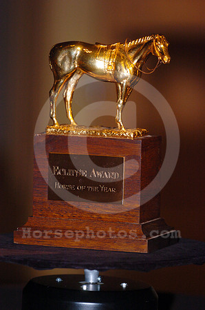 eclipse04_eciplsegold trophy