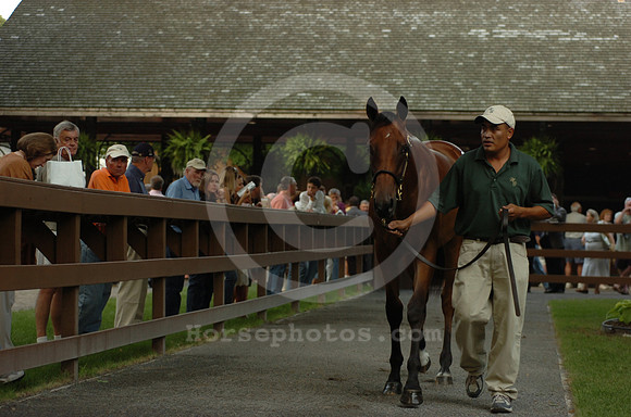 ft0807_horsesales14_jd