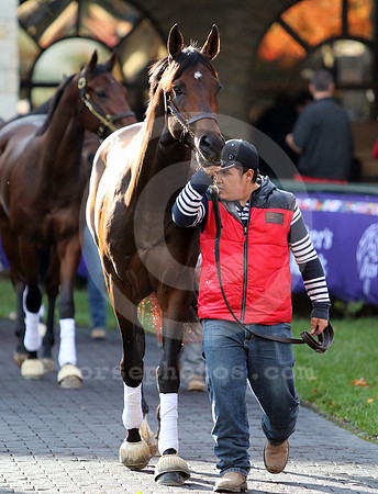 exaggerator05_cg