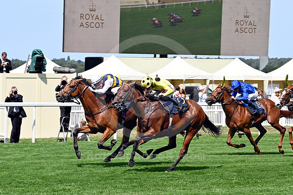 250617D506ROYAL_ASCOT