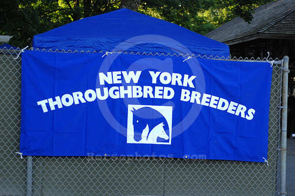 ftnyb0807_horsesales01_jd