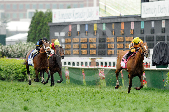 wisedan77_jn