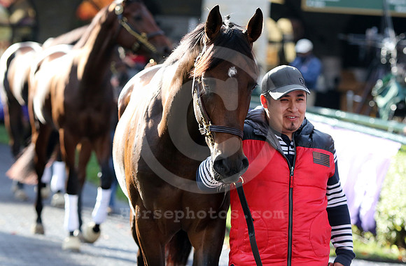 exaggerator06_cg