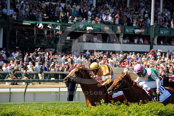 wisedan117_bn
