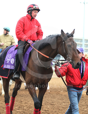 goldikova42_dk