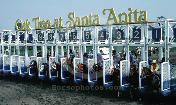 santa anita gates
