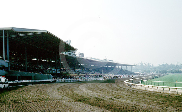 grandstand