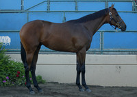 DMR04_HIP87_ljp