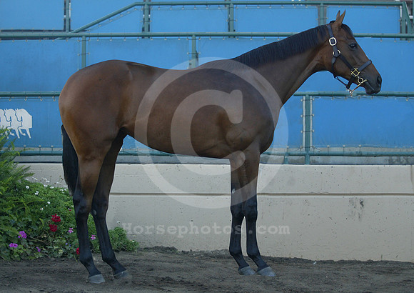 DMR04_HIP87_ljp