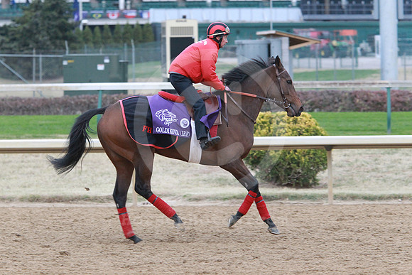 goldikova39_nh