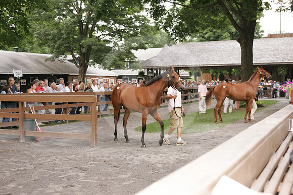 ft0807_horsesales18_tb