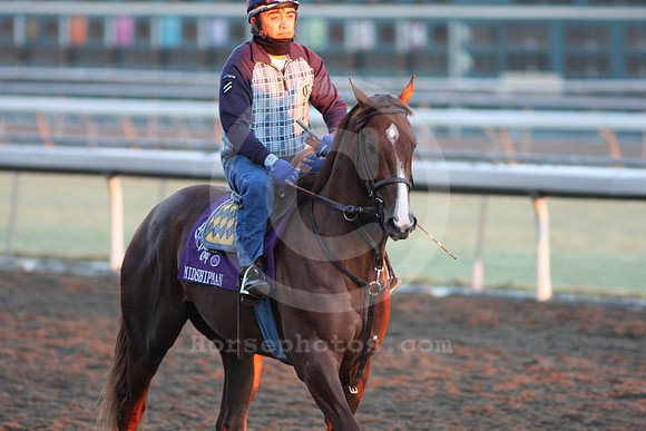 midshipman02_ev
