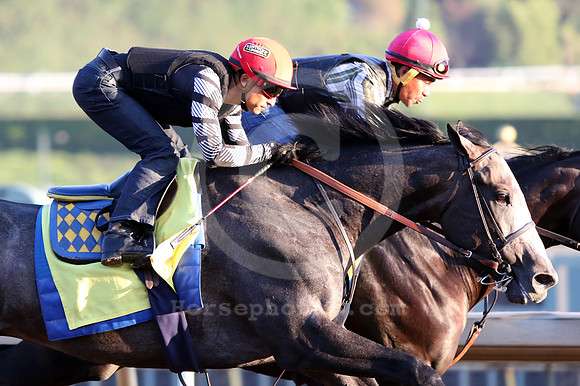 arrogate25_cg