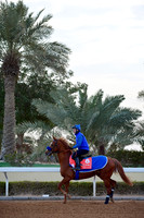 230222C913RIAD