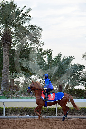 230222C913RIAD