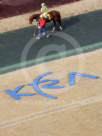 seoul_korea_30_fs