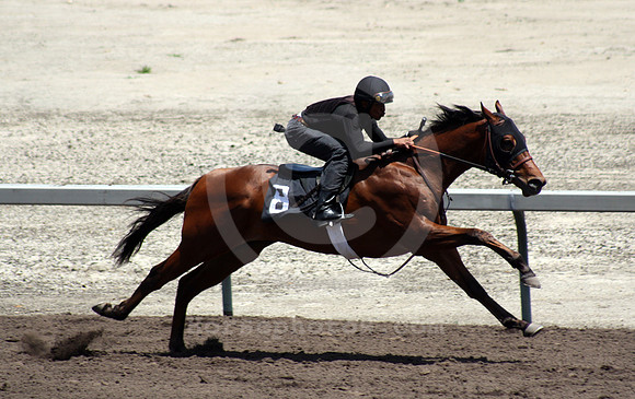 barretts05.12_hip8_01_cg