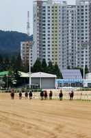 pusanracecourse02_tm