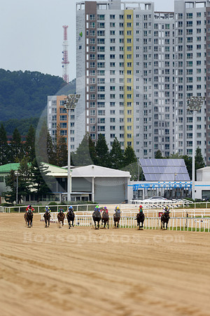pusanracecourse02_tm