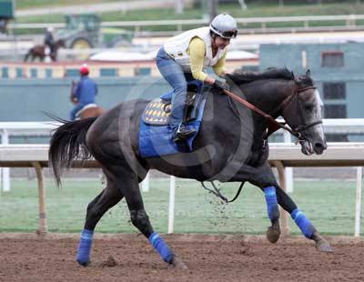 arrogate26c_cg