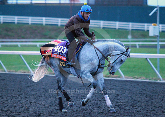 hardnottolike38_ljp