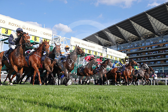 250617D606ROYAL_ASCOT