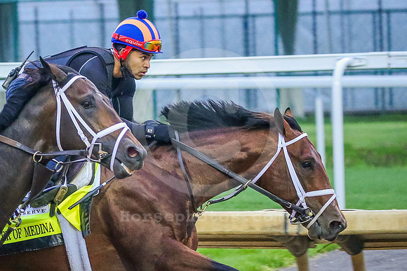 pioneerofmedina03_rn