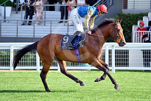 250617D595ROYAL_ASCOT