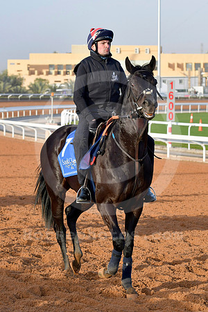 230222C929RIAD