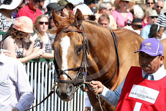 wisedan117_cg