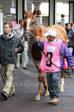 wisedan82_cg