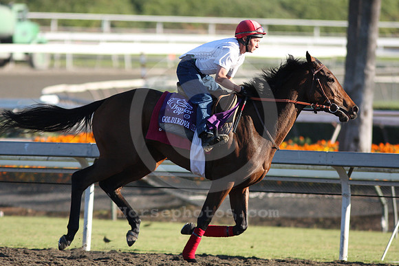 goldikova06_ev