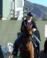 aidanobrien24_hr