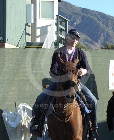 aidanobrien24_hr