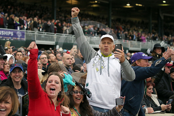 bc15fans03_cg