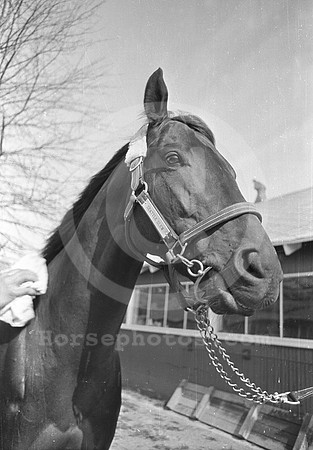 seattleslew04_gs