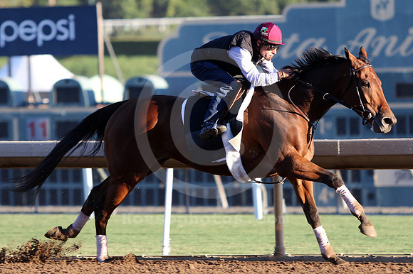 beholder376a_cg