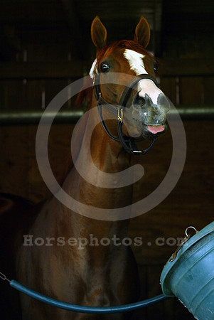 californiachrome122_cg