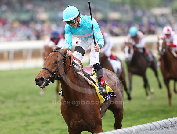 ladyeli05a_cb