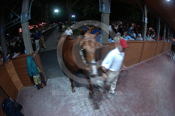 ft0807_horsesales19_jd
