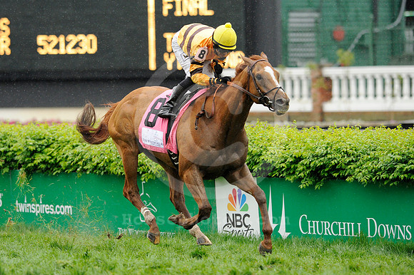 wisedan79_jn