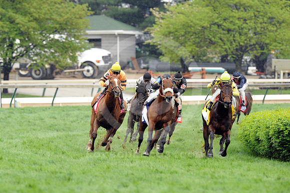 wisedan76_bn