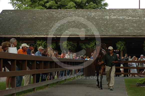 ft0807_horsesales07_jd
