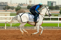 230222C902RIAD