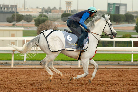 230222C902RIAD
