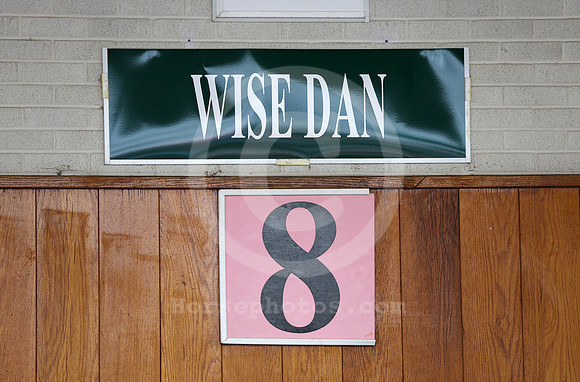 wisedan81_cg