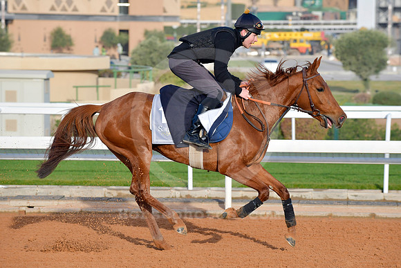 230222C939RIAD