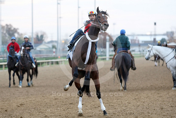 churchilldowns_racetrack06_st