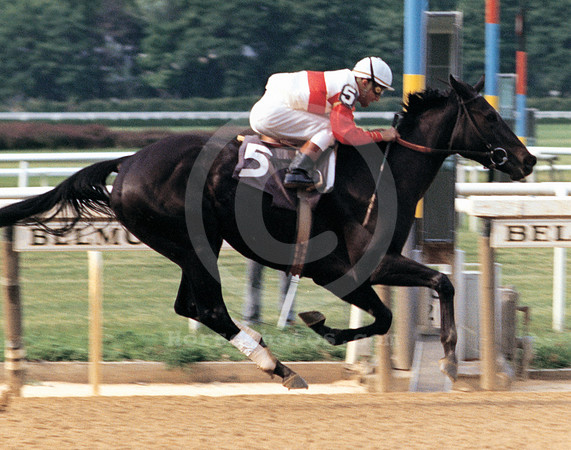 ruffian01